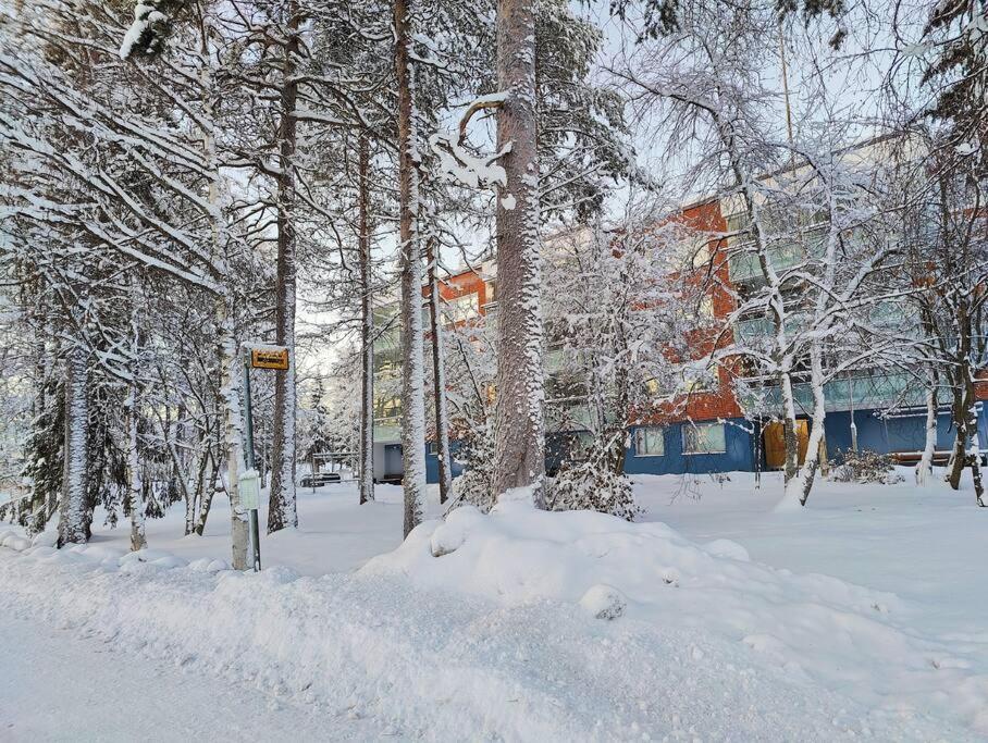 Spacious With Balcony And Free Wifi * Rovaniemi
